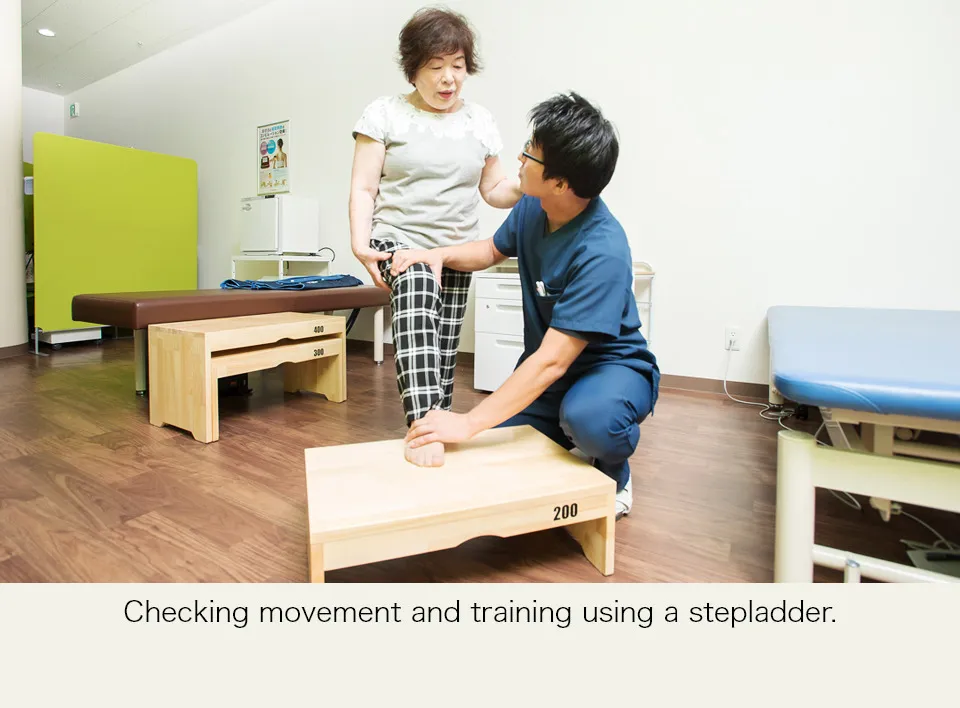 ステップ台を利用した動作確認とトレーニング
