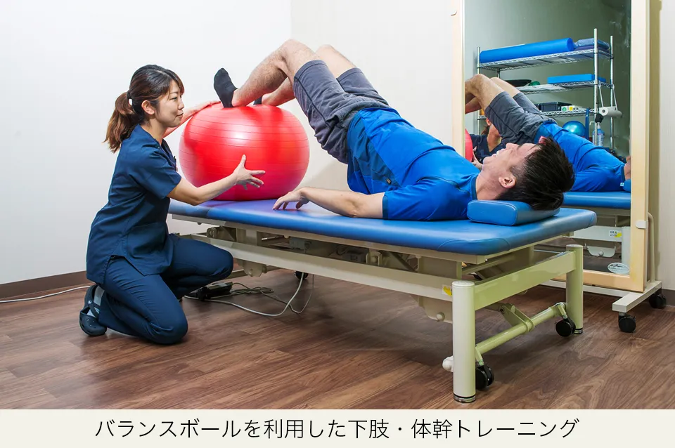 バランスボールを利用した下肢・体幹トレーニング